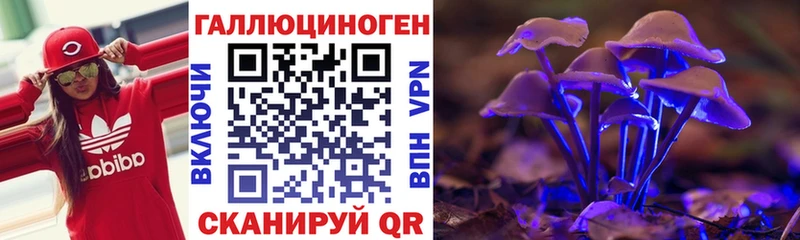 где продают наркотики omg как войти Псилоцибиновые грибы Psilocybe Верхоянск